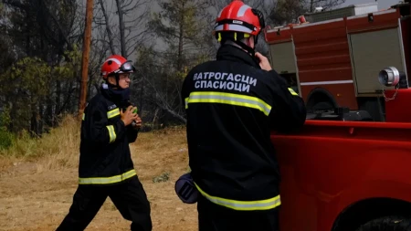 Požar na Novom Beogradu: Vatrogasci hitno intervenišu na terenu!