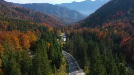 Plate idu i do 5.000 evra - mala evropska zemlja nudi sjajne uslove za rad