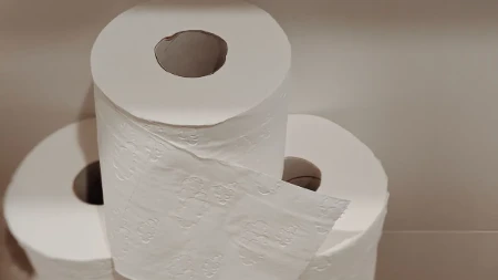 Komšinica stavlja toalet papir na šine prozora: Kad mi je objasnila zbog čega, pojurila sam kući da uradim isto