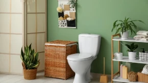 Ma kakvi specijalni osveživači: Ovo uklanja smrad iz wc šolje kao od šale!