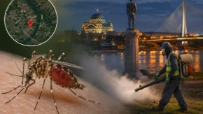Alarmantni podaci Batuta: Groznica Zapadnog Nila se širi Srbijom