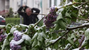 Sneg ne prestaje da veje u ovom delu Srbije: Objavljena nova vremenska prognoza, evo gde će još padati