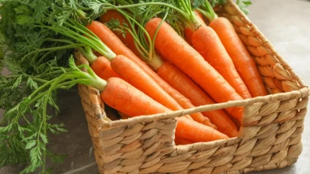 Šargarepa za bolje varenje – nutricionisti otkrivaju njen pravi uticaj