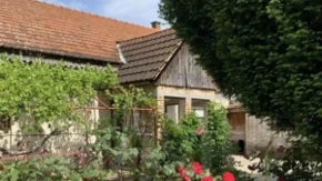Kuća od 109 kvadrata za 27.900 evra: Država majkama daje pomoć za prvi krov nad glavom