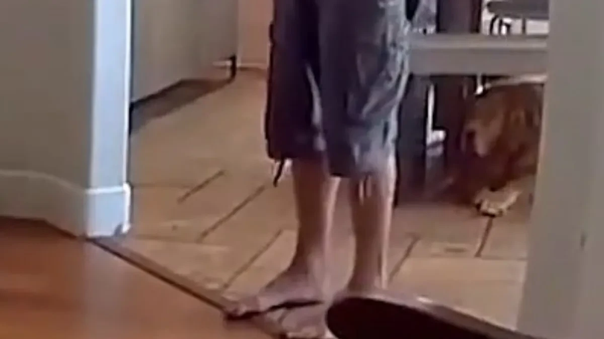Lopov ušao da opljačka kuću, a dočekao ga prizor za nevericu: Pas mu tri puta prišao sa istom namerom!  