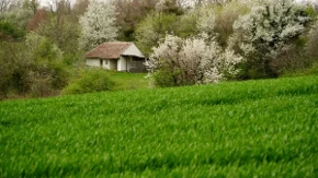 Vikendica zaključana godina, a obaveze stižu - vlasnici često zaborave na jednu stvar, a dug se gomila