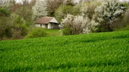 Vikendica zaključana godina, a obaveze stižu - vlasnici često zaborave na jednu stvar, a dug se gomila