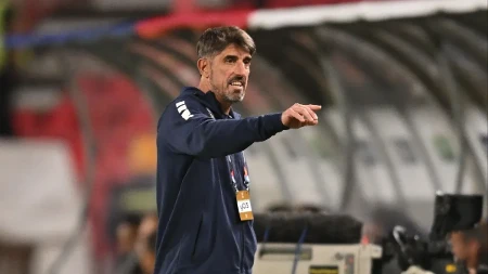 Novi udarac za Paunovića, Srbija ostala bez važnog igrača