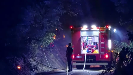 Veliki požar kod Lučana: Gorela šuma i rastinje, vatrogasci i meštani obuzdali vatru
