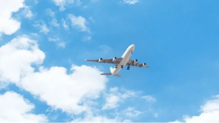 Šok u avionu na Siciliji: Putnicima zmija izmilela iznad glava, zavladala je opšta panika, pilot je mogao da uradi samo jedno
