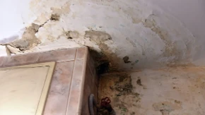 Koštaće vas 0 dinara, a provereno radi: Finci imaju trajno rešenje za vlagu u kući, morate ga probati 