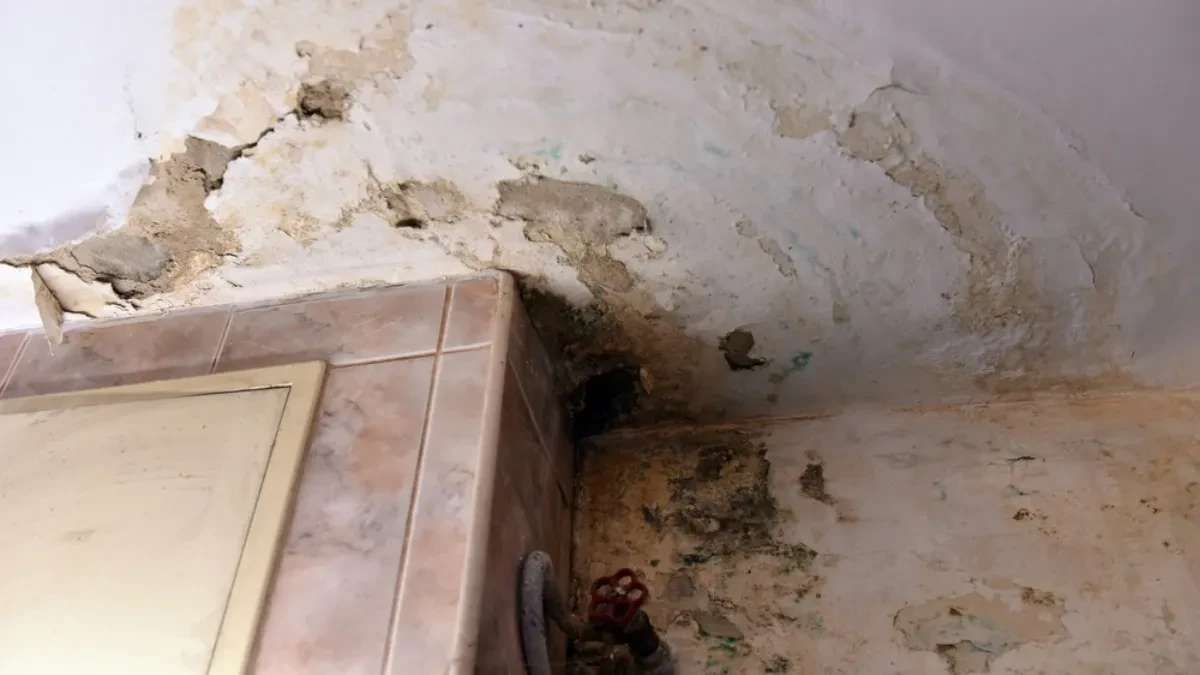 Koštaće vas 0 dinara, a provereno radi: Finci imaju trajno rešenje za vlagu u kući, morate ga probati 