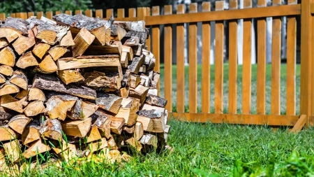 Koje drvo je najbolje za ogrev? Tri vrste se posebno izdvajaju