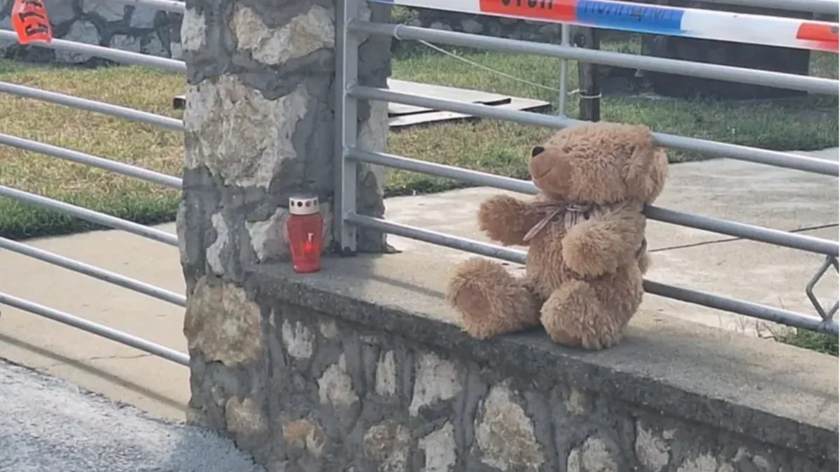 Umrla i sestra muškarca koji je pobio porodicu: Krvavi pir odneo tri života, iza masakra ostao jeziv spor oko imovine